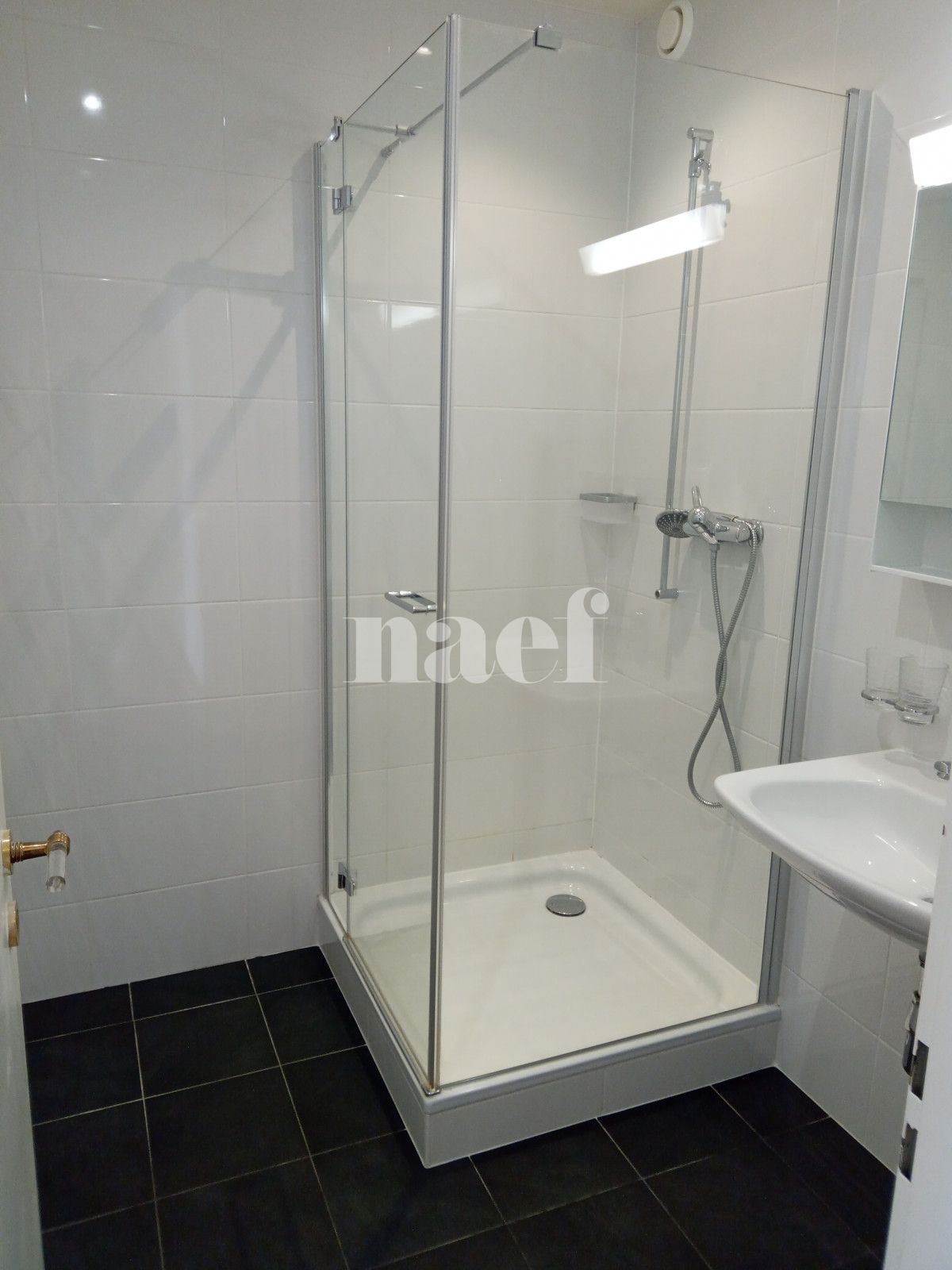 À louer : Appartement 6.5 Pieces Genève - Ref : 212200.9003 | Naef Immobilier