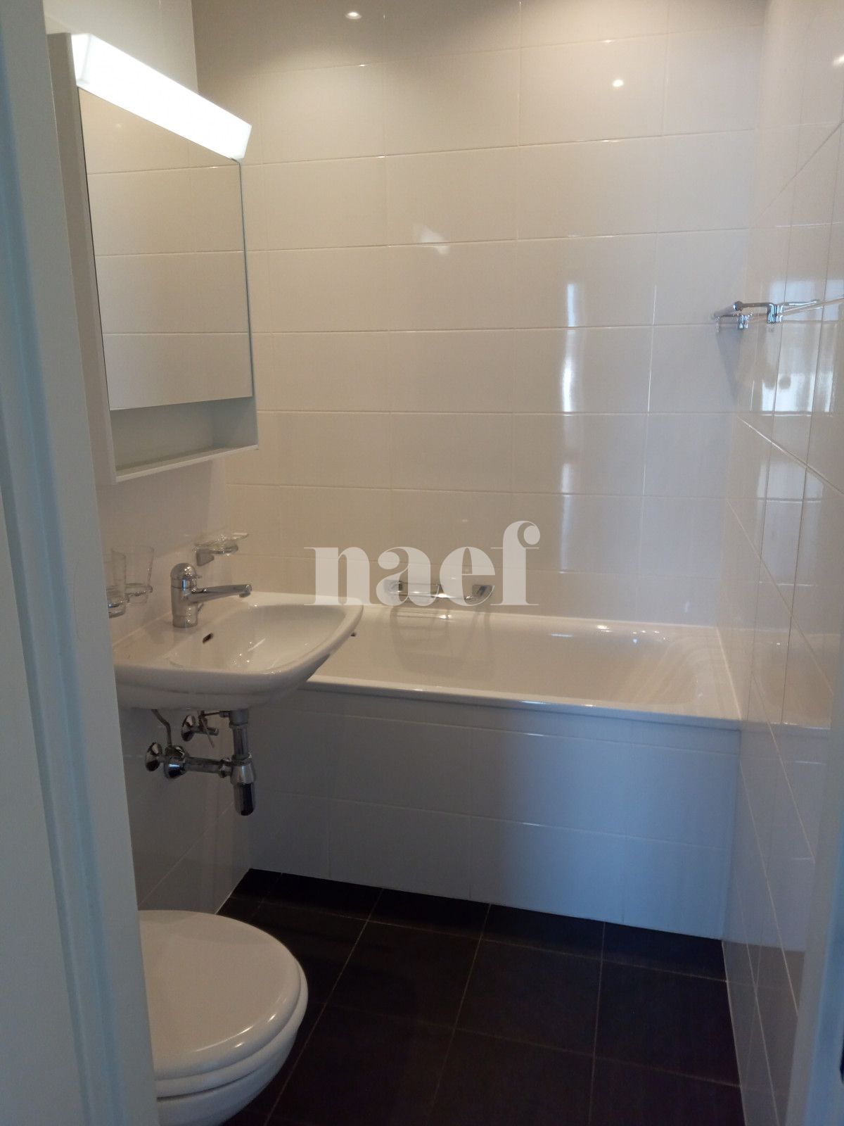 À louer : Appartement 6.5 Pieces Genève - Ref : 212200.9003 | Naef Immobilier