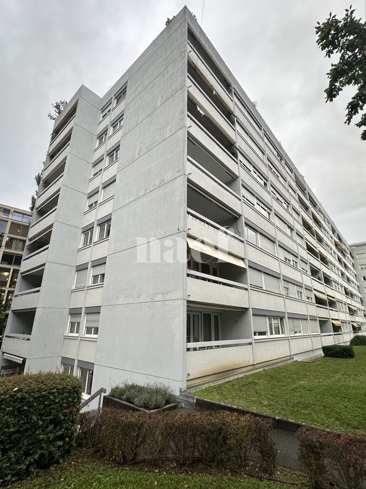 À louer : Appartement 4 Pieces Grand-Lancy - Ref : 212206.5001 | Naef Immobilier