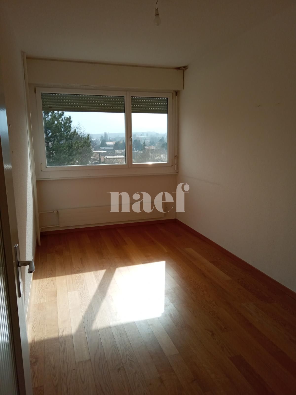 À louer : Appartement 4 Pieces Grand-Lancy - Ref : 212206.5001 | Naef Immobilier