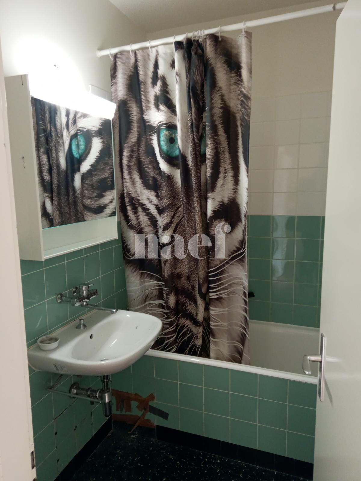 À louer : Appartement 4 Pieces Grand-Lancy - Ref : 212206.5001 | Naef Immobilier