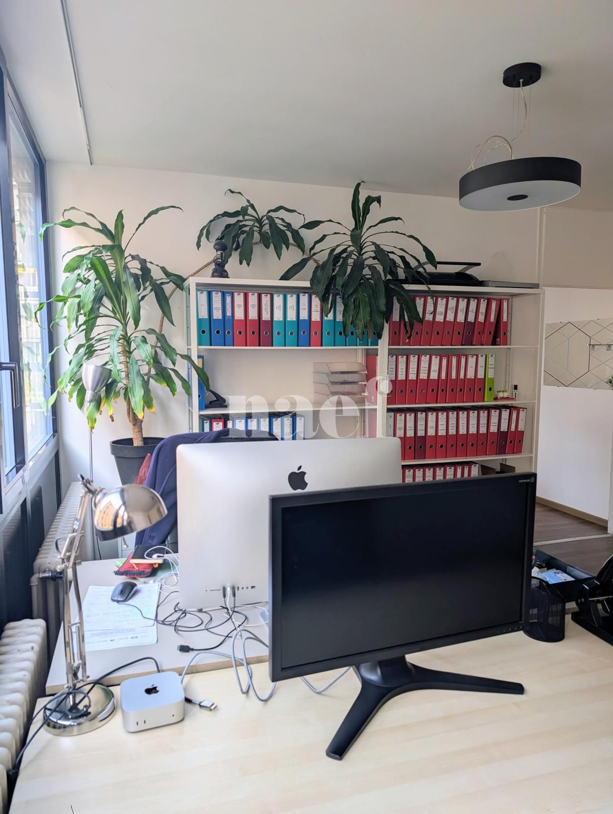 À louer : Surface Commerciale Bureau Genève - Ref : 212385.2003 | Naef Immobilier