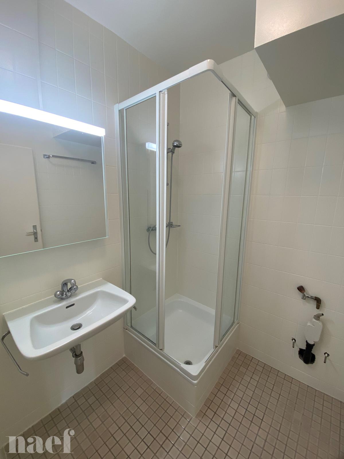 À louer : Appartement 5 Pieces Genève - Ref : 212407.6002 | Naef Immobilier