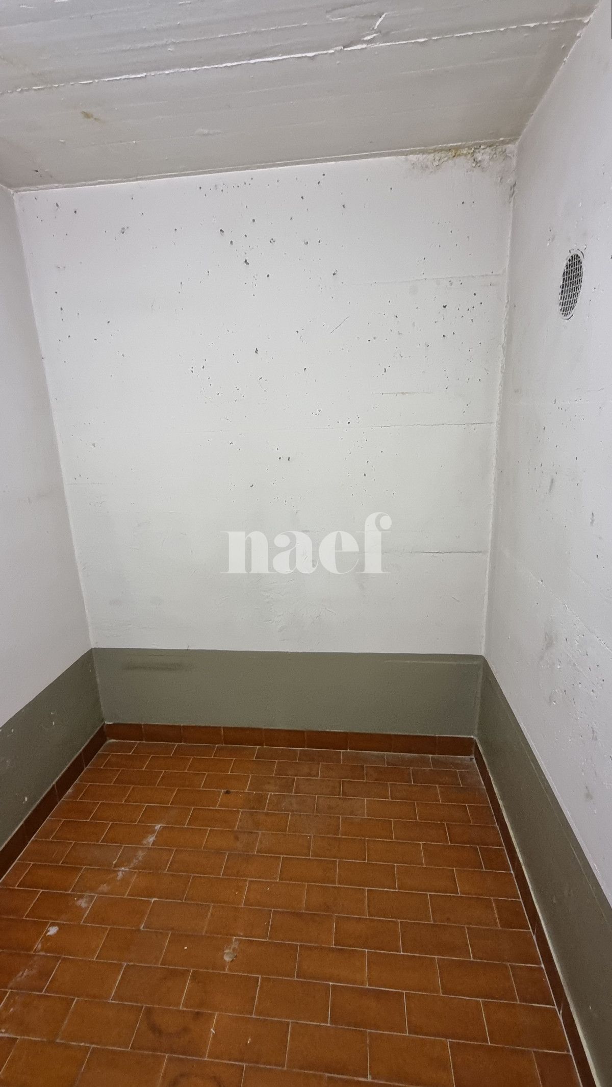 À louer : Dépôt Genève - Ref : 212407.62004 | Naef Immobilier