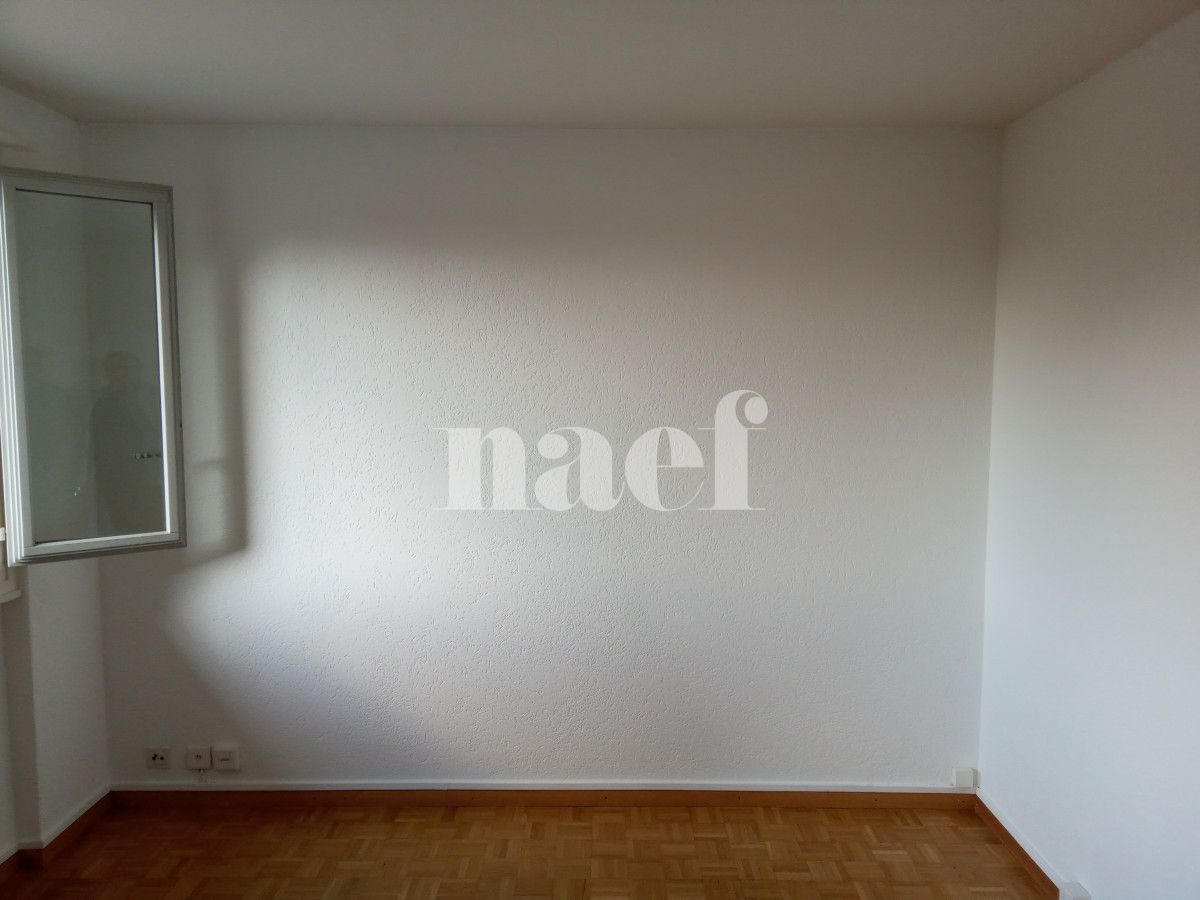 À louer : Appartement 2 Pieces Carouge Ge - Ref : 212423.3005 | Naef Immobilier