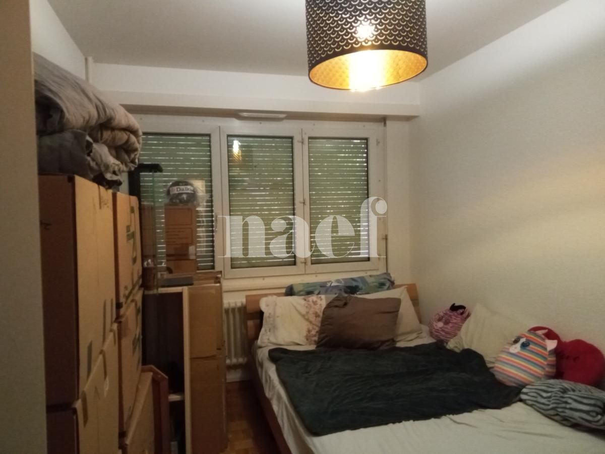 À louer : Appartement 3 Pieces Chêne-Bourg - Ref : 212483.2 | Naef Immobilier