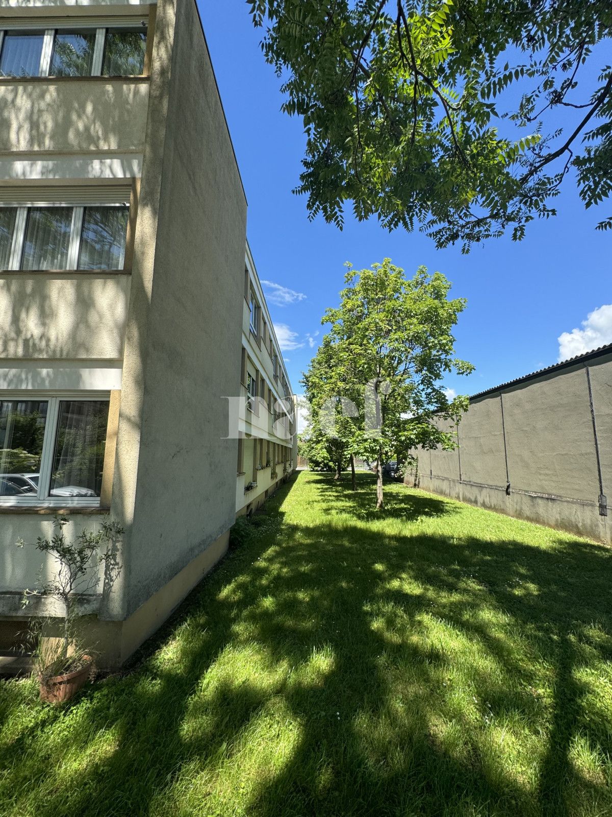 À louer : Appartement 2.5 Pieces Chêne-Bourg - Ref : 212484.1003 | Naef Immobilier
