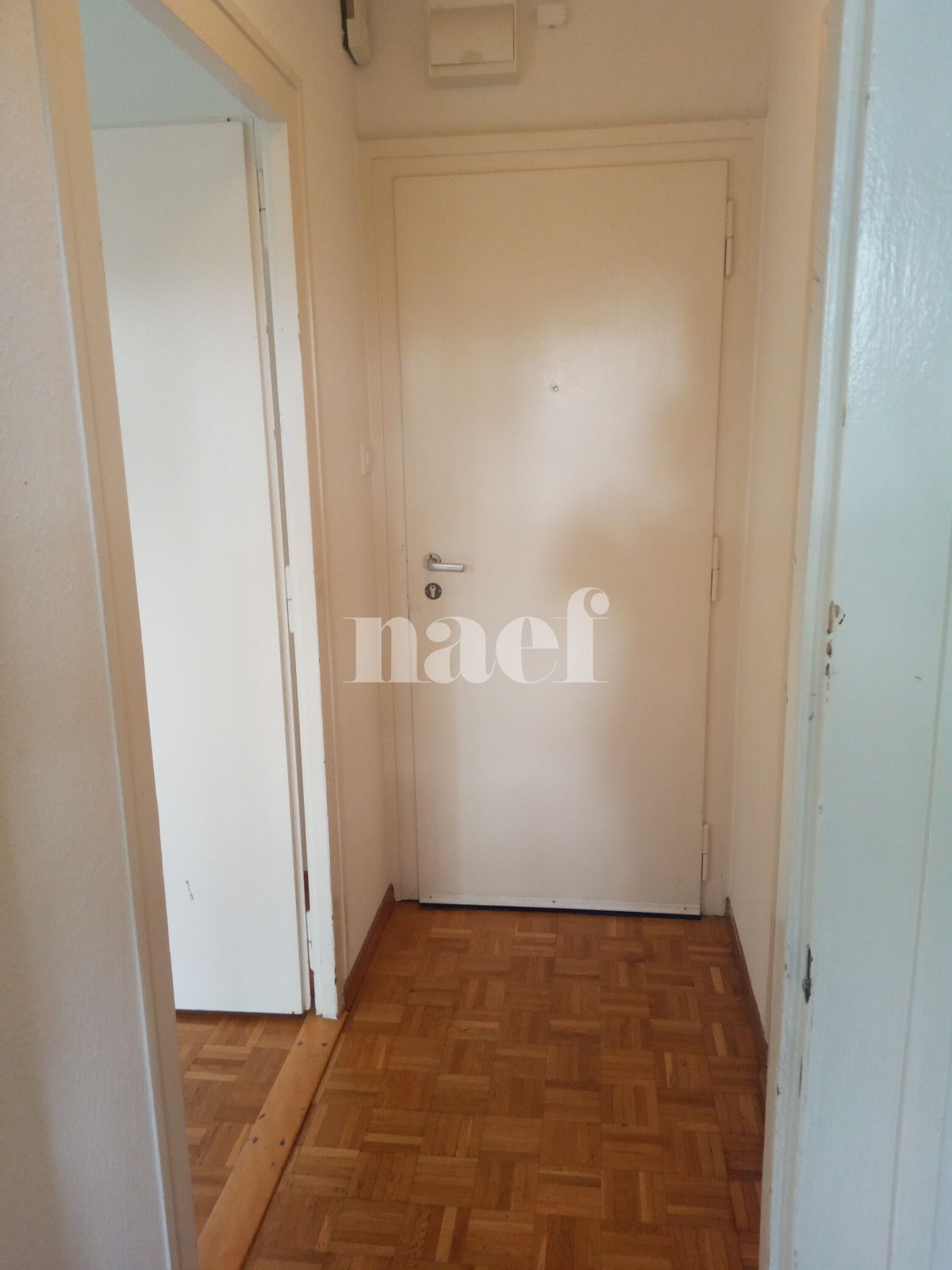 À louer : Appartement 2.5 Pieces Chêne-Bourg - Ref : 212484.1003 | Naef Immobilier