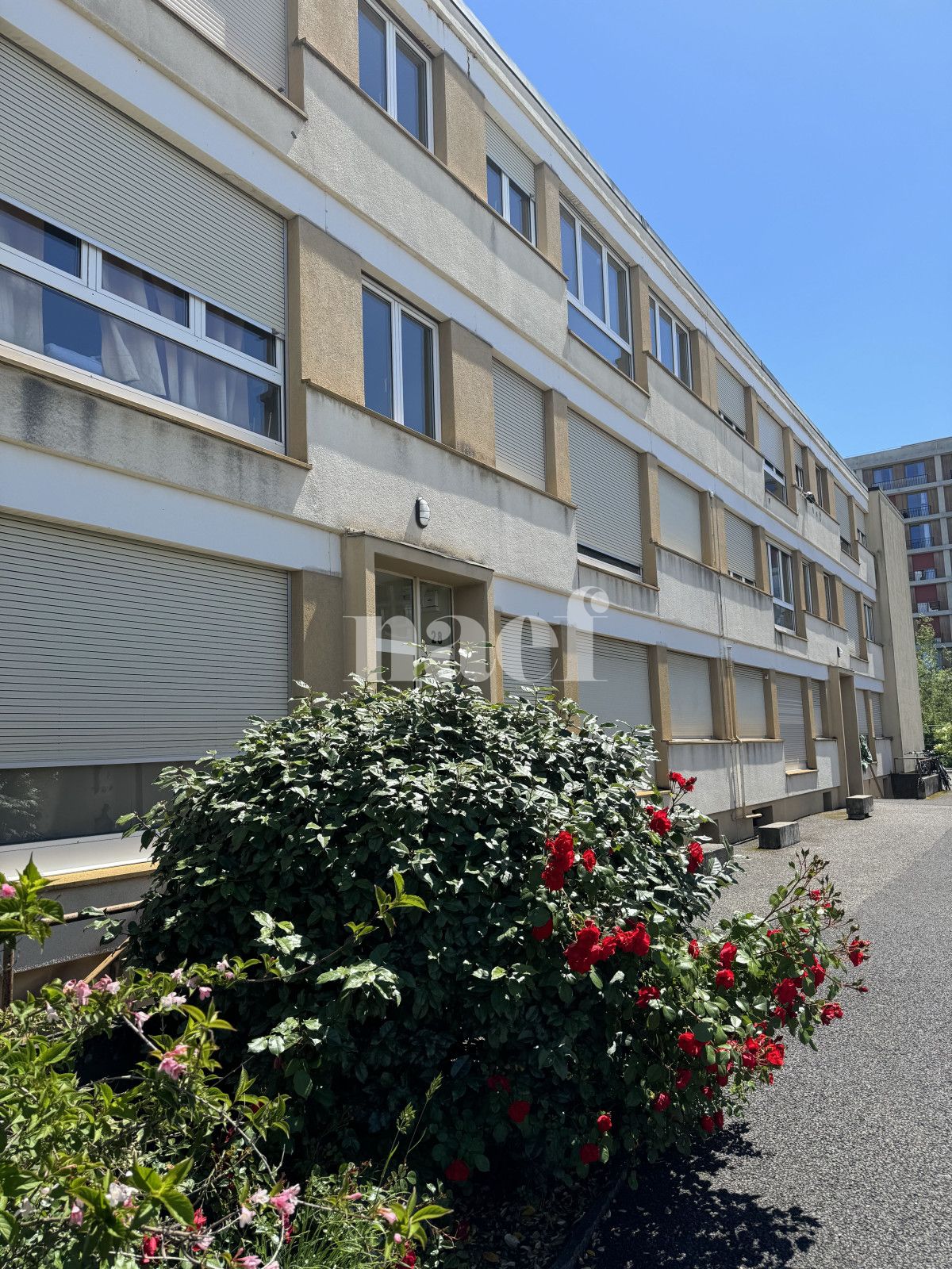 À louer : Appartement 3 Pieces Chêne-Bourg - Ref : 212484.1 | Naef Immobilier