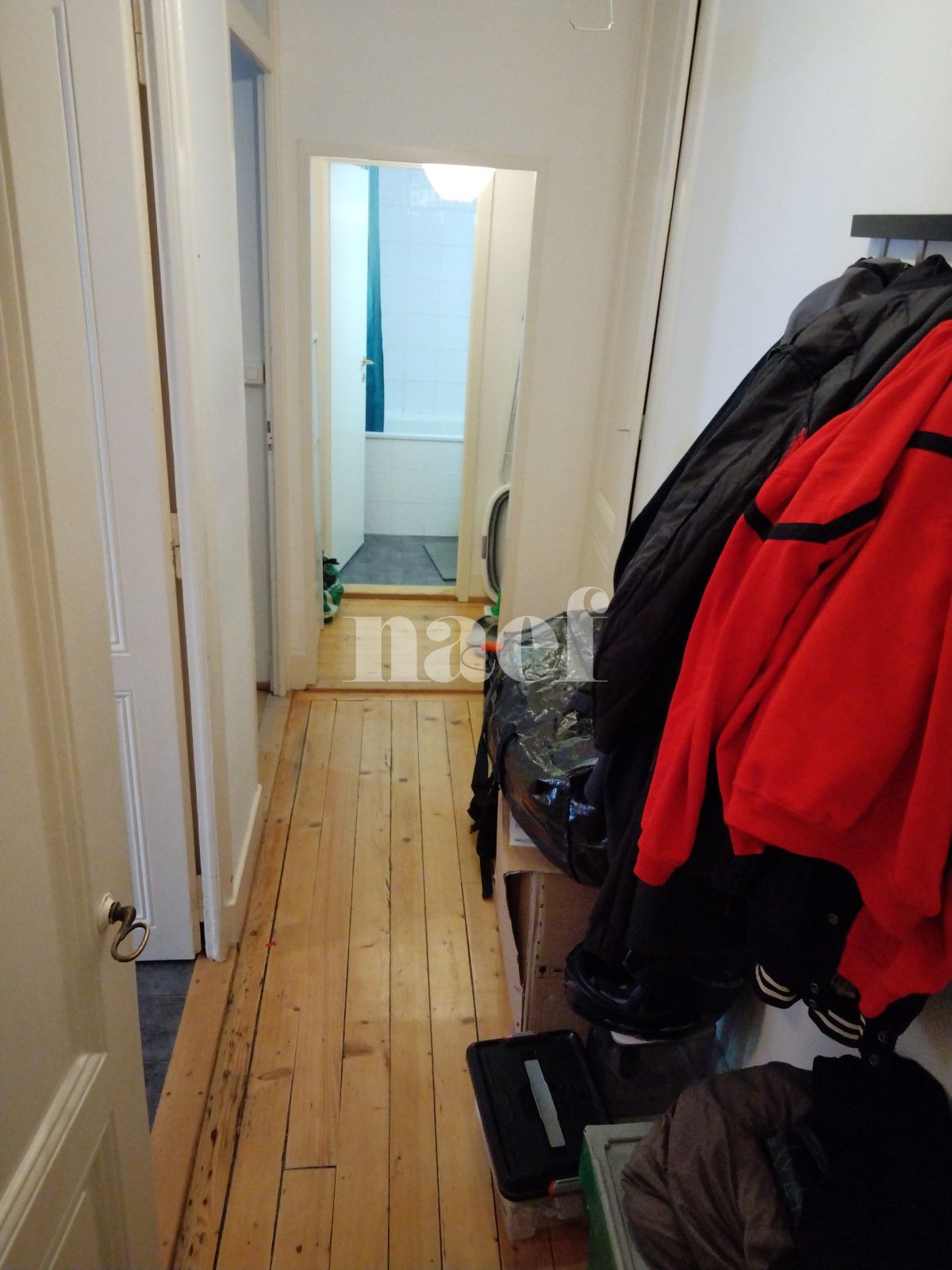 À louer : Appartement 2 Pieces Les Acacias - Ref : 212538.1 | Naef Immobilier