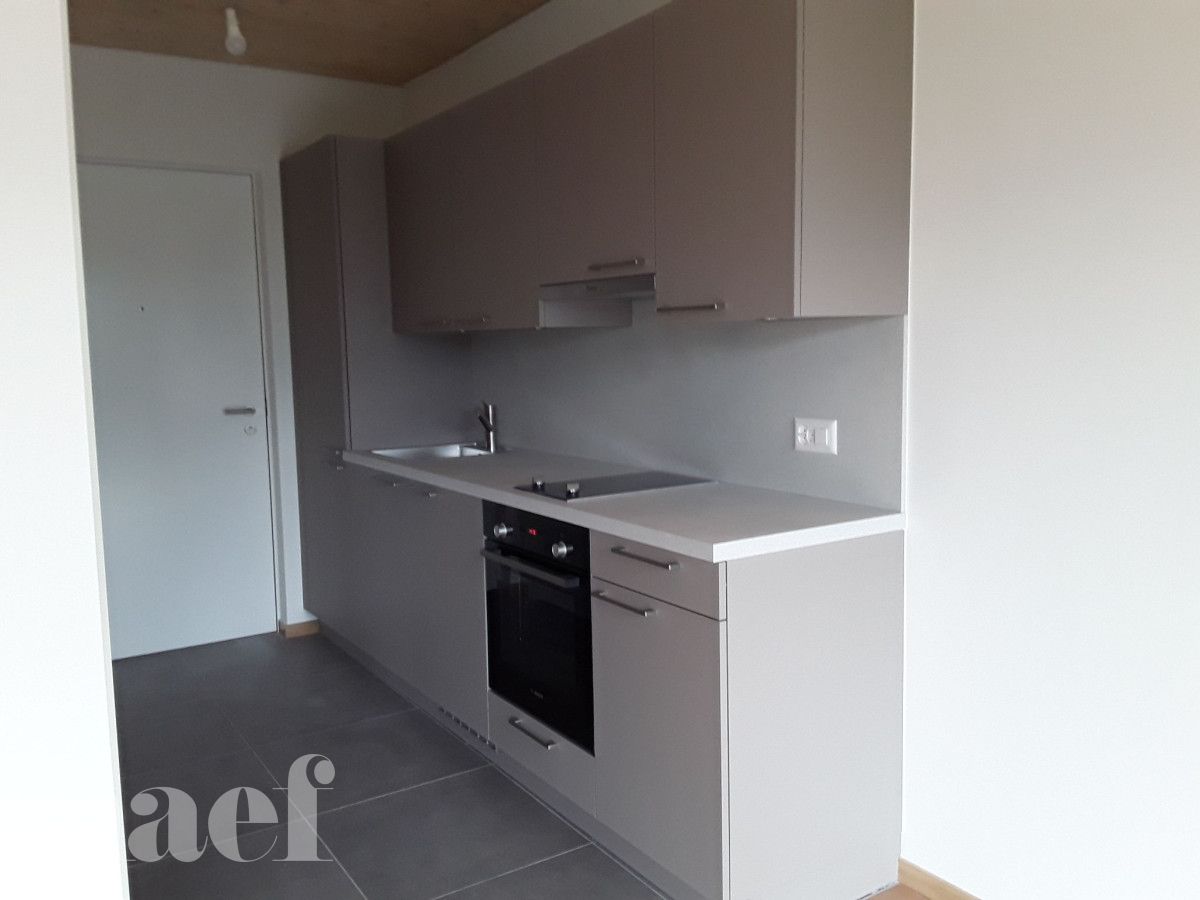 À louer : Appartement 1 Pieces Grand-Lancy - Ref : 212551.5001 | Naef Immobilier