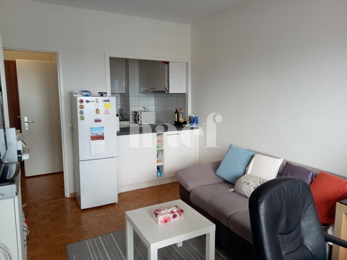 À louer : Appartement 2 Pieces Onex - Ref : 212652.16031 | Naef Immobilier