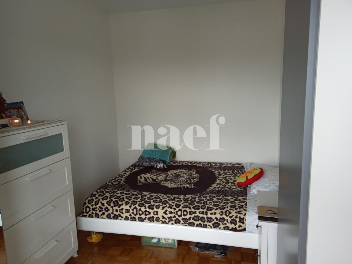 À louer : Appartement 2 Pieces Onex - Ref : 212652.16031 | Naef Immobilier