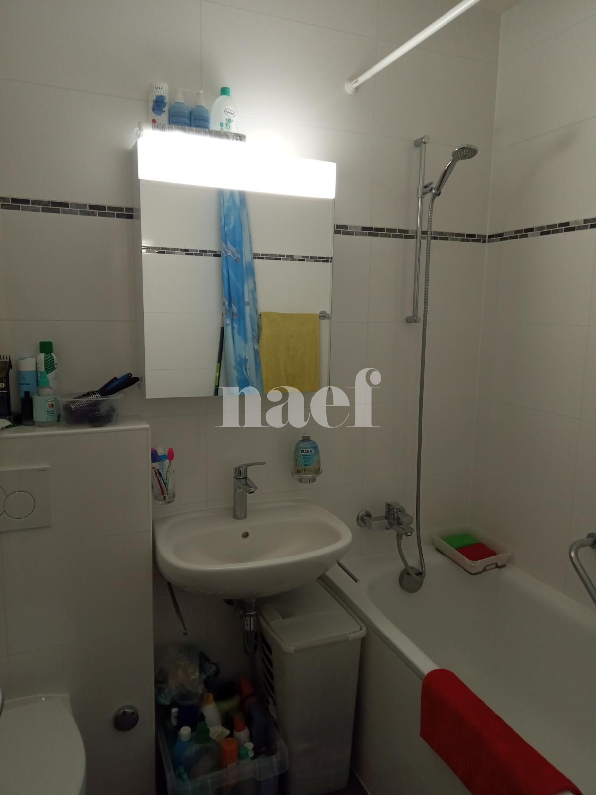 À louer : Appartement 2 Pieces Onex - Ref : 212652.16031 | Naef Immobilier