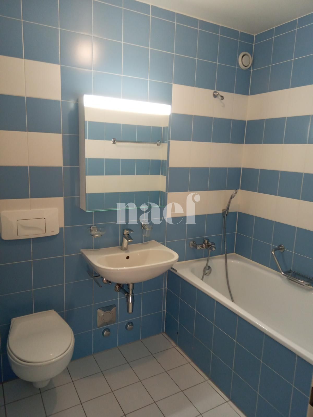 À louer : Appartement 3 Pieces Petit-Lancy - Ref : 212662.1 | Naef Immobilier