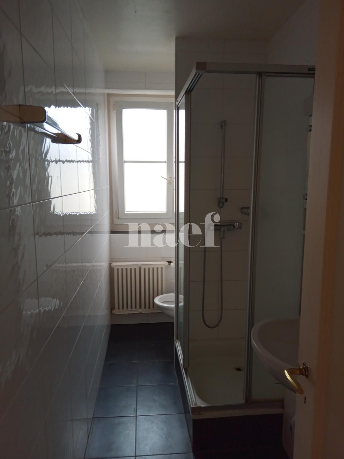 À louer : Appartement 3 Pieces Acacias - Ref : 212695.3004 | Naef Immobilier