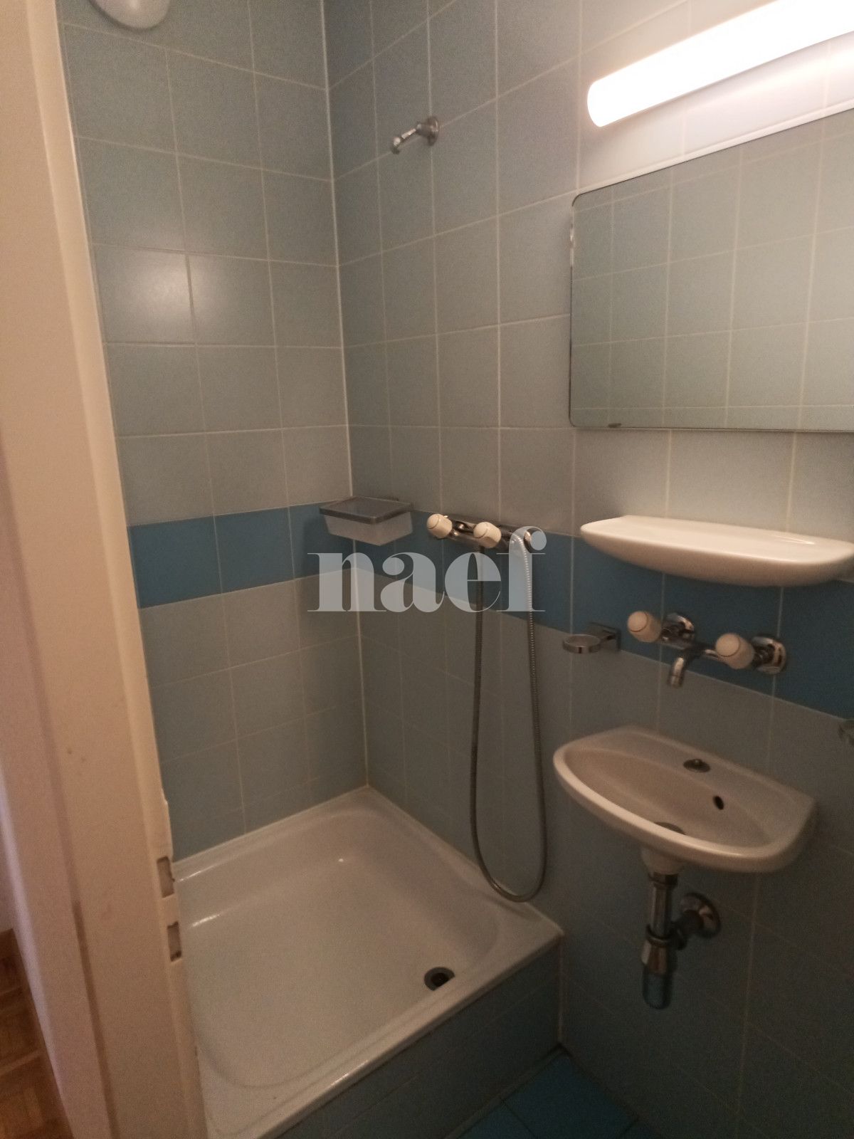 À louer : Appartement 5 Pieces Vernier - Ref : 213110.1511 | Naef Immobilier