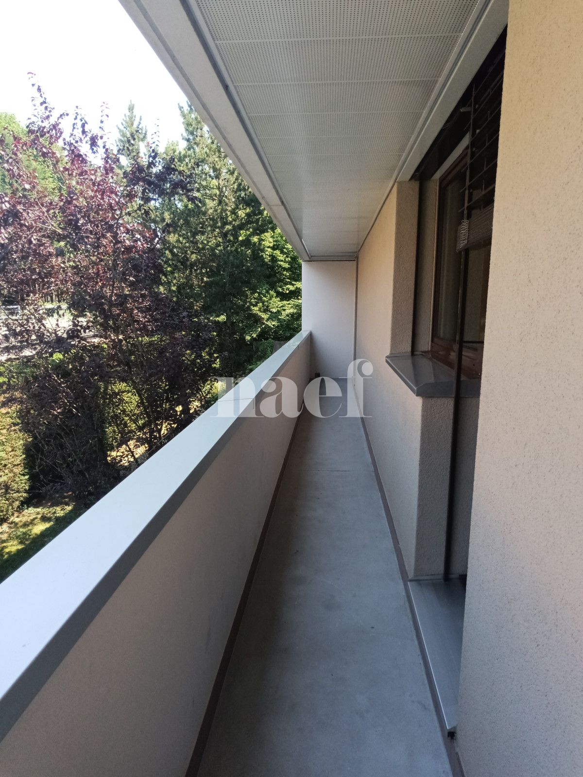 À louer : Appartement 5 Pieces Vernier - Ref : 213110.1511 | Naef Immobilier