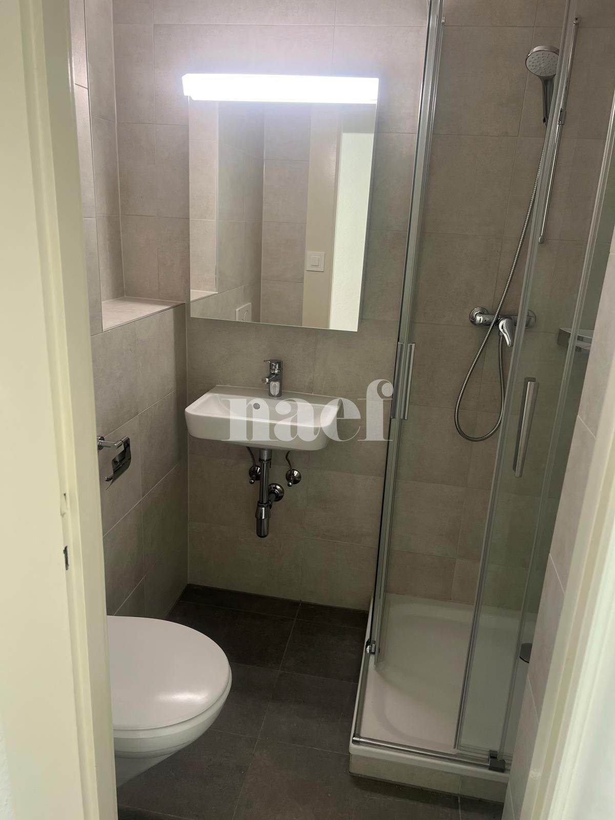 À louer : Appartement 1.5 Pieces Acacias - Ref : 213284.4003 | Naef Immobilier