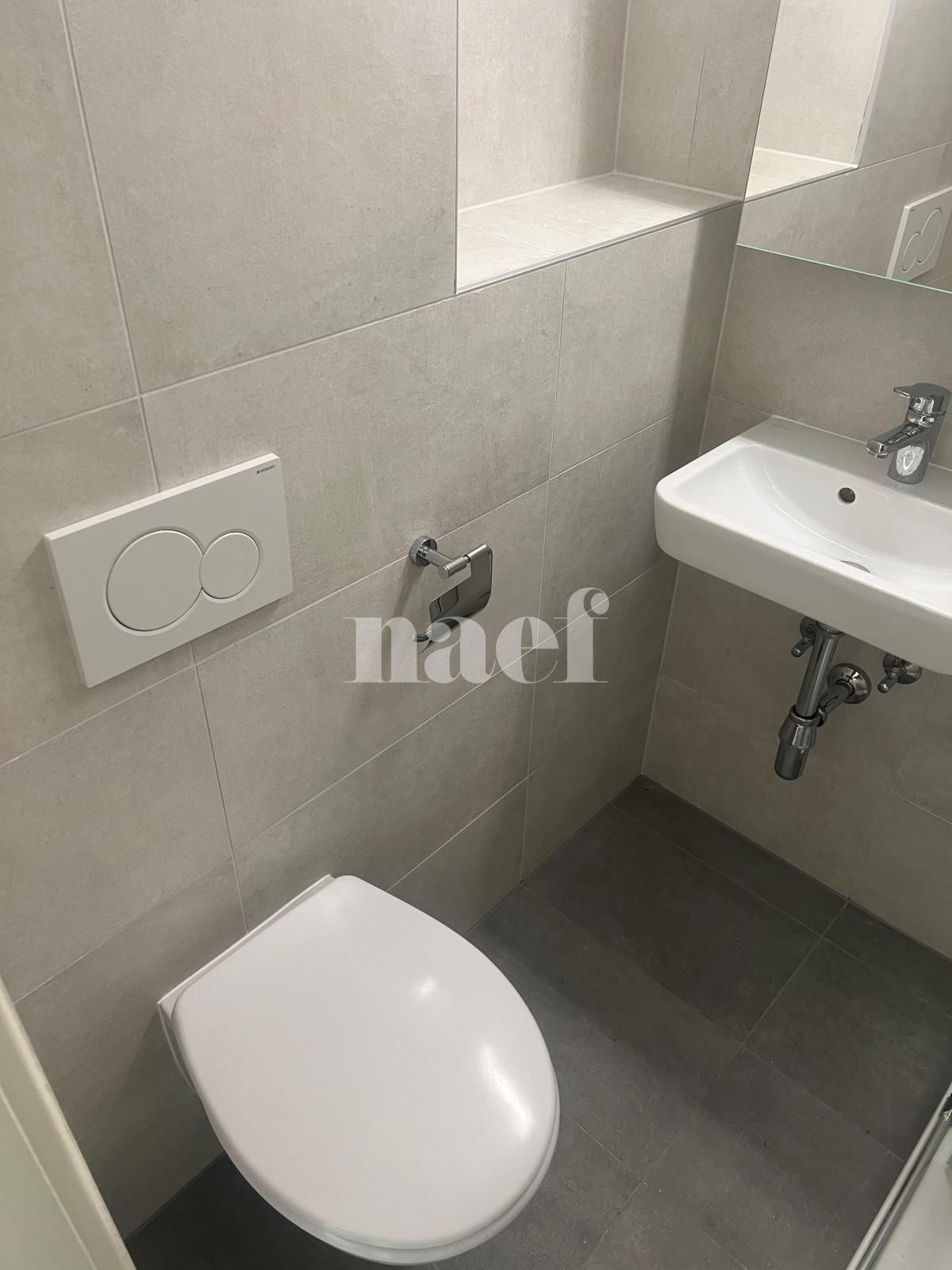 À louer : Appartement 1.5 Pieces Acacias - Ref : 213284.4003 | Naef Immobilier