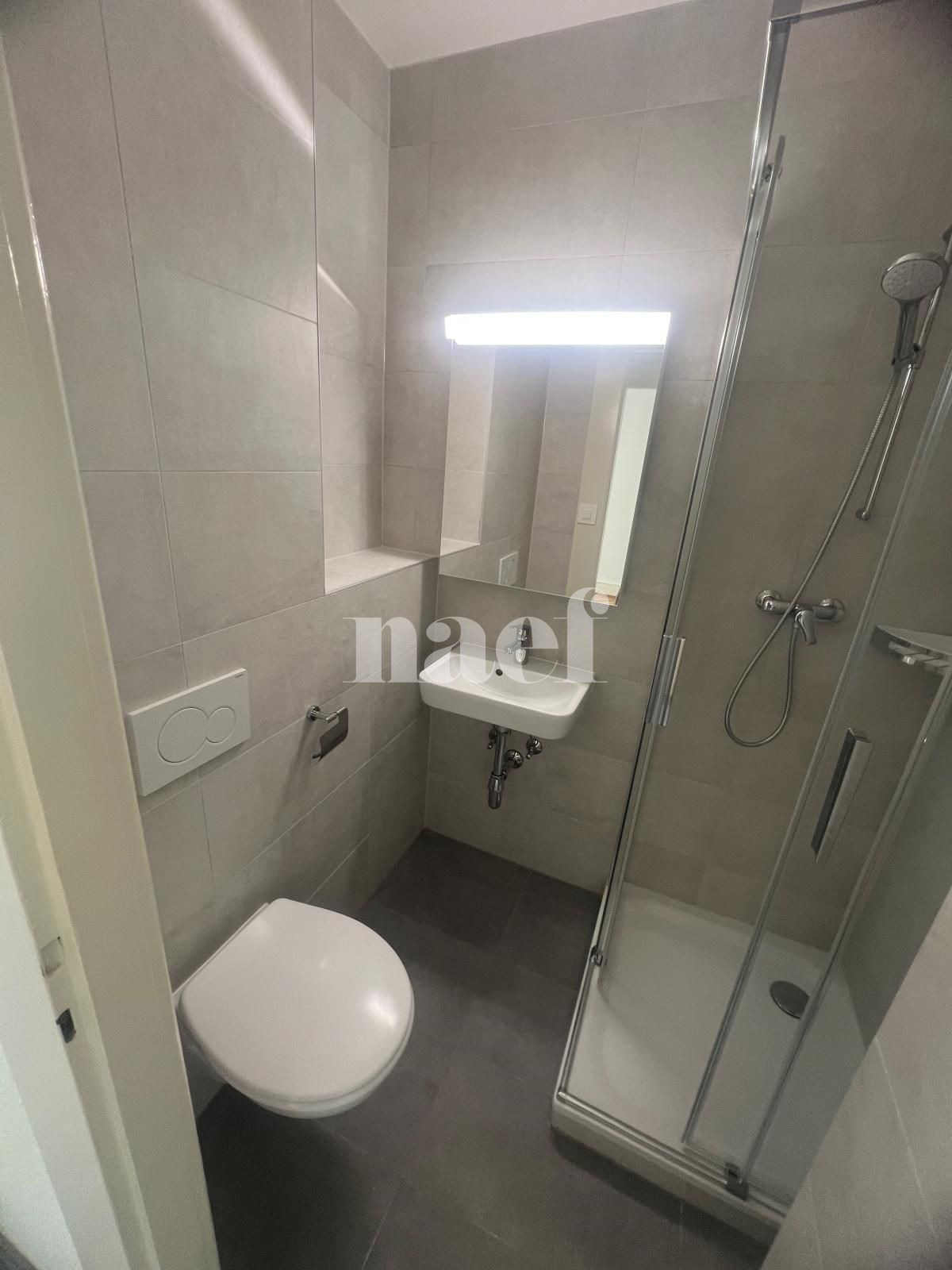 À louer : Appartement 1.5 Pieces Acacias - Ref : 213284.4003 | Naef Immobilier