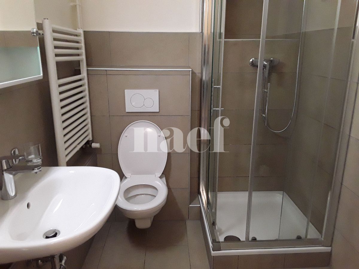 À louer : Appartement 2 Pieces Les Acacias - Ref : 213415.2022 | Naef Immobilier