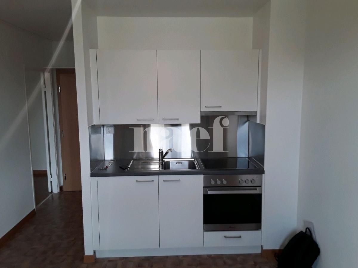 À louer : Appartement 2 Pieces Aire-La-Ville - Ref : 213561.1002 | Naef Immobilier