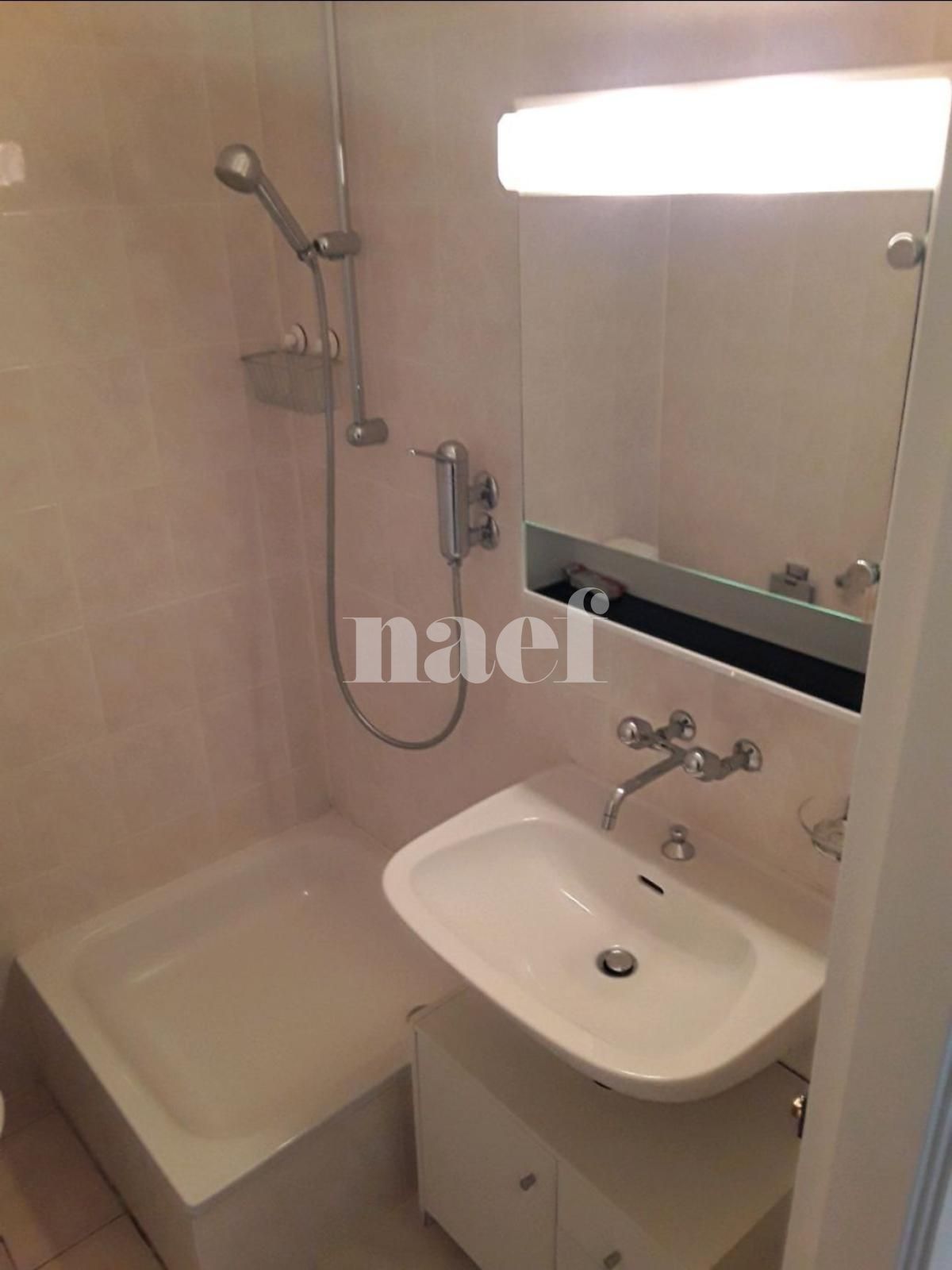 À louer : Appartement 2 Pieces Aire-La-Ville - Ref : 213561.1002 | Naef Immobilier