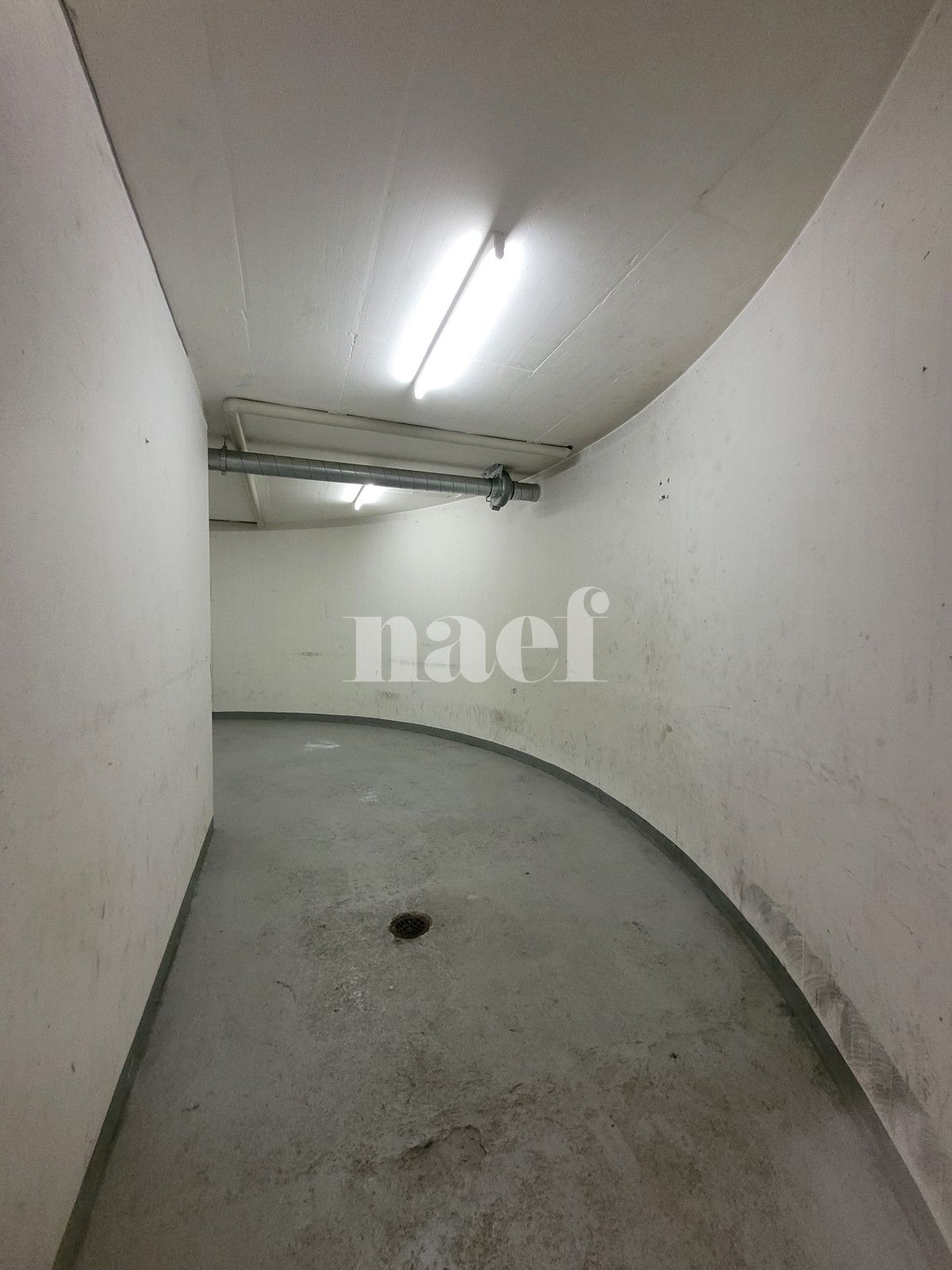 À louer : Dépôt Genève - Ref : 213951.61003 | Naef Immobilier