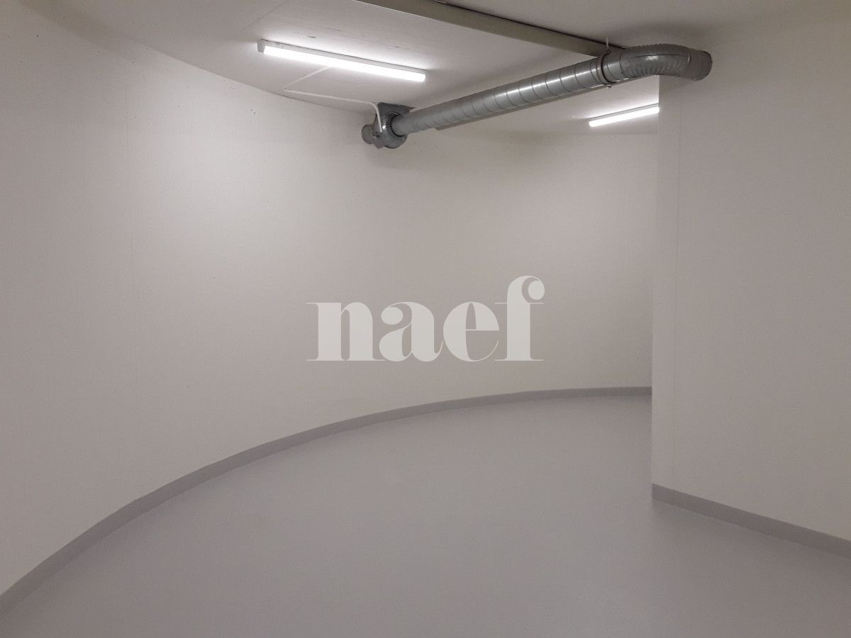 À louer : Dépôt Genève - Ref : 213951.61003 | Naef Immobilier