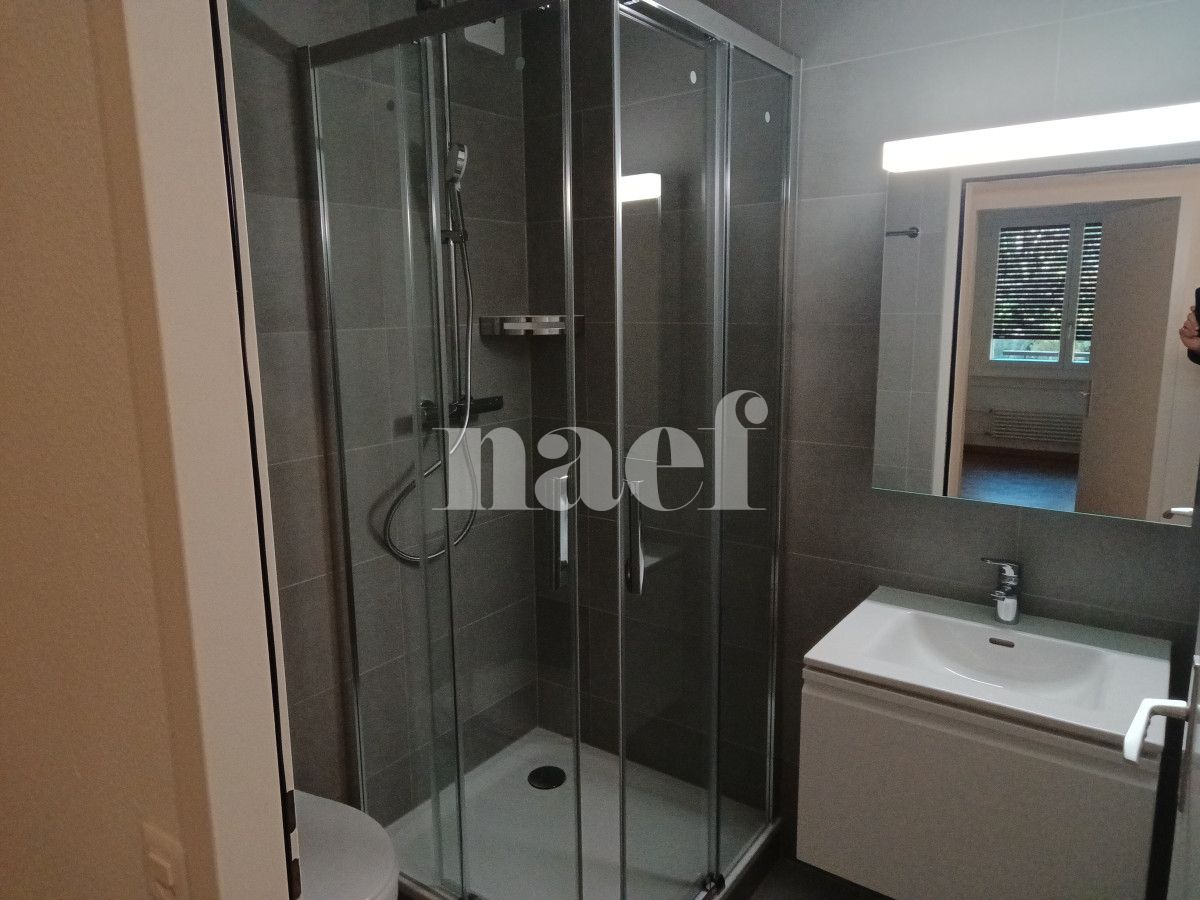 À louer : Appartement 6 Pieces Genève - Ref : 213953.2021 | Naef Immobilier