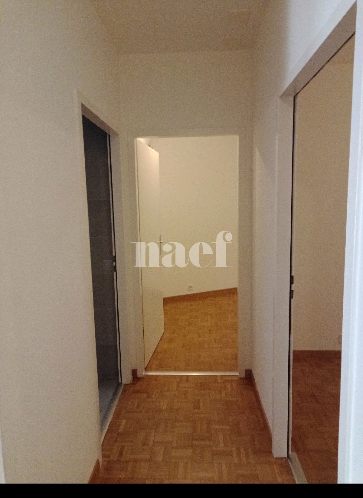 À louer : Appartement 6 Pieces Genève - Ref : 213953.2021 | Naef Immobilier