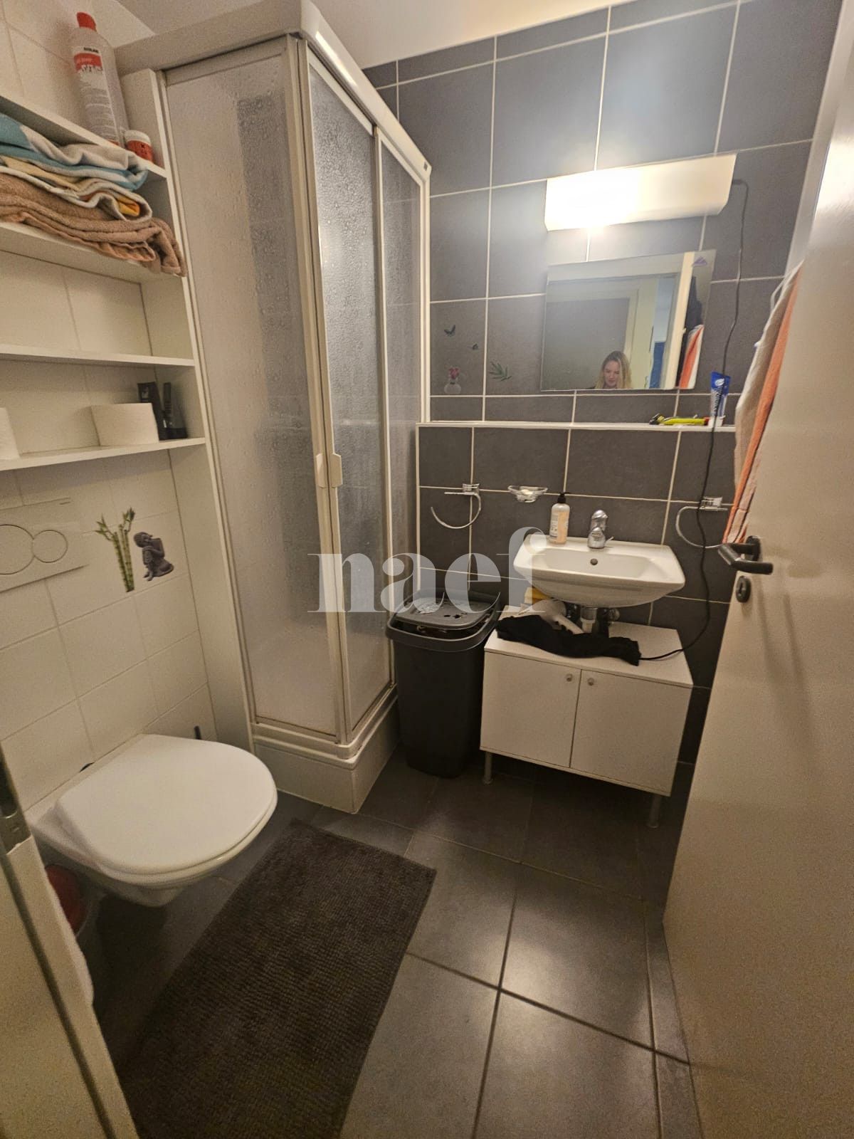 À louer : Appartement 4.5 Pieces Chavannes-Renens - Ref : 214077.1011 | Naef Immobilier