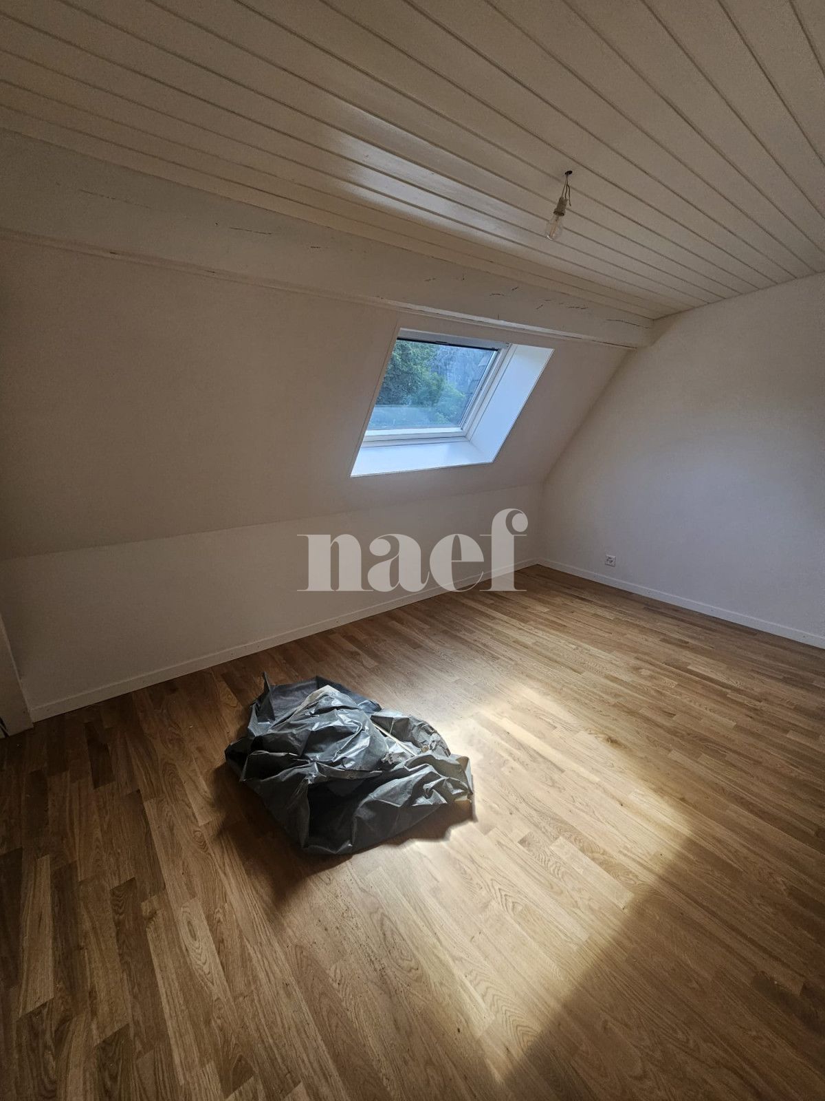 À louer : Appartement 4.5 Pieces Lausanne - Ref : 214079.6001 | Naef Immobilier