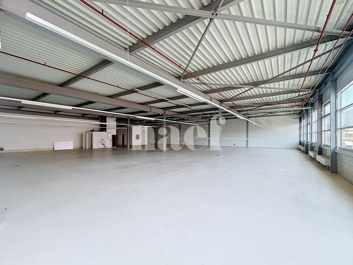 À louer : Surface Commerciale Atelier Nyon - Ref : 214161.1007 | Naef Immobilier