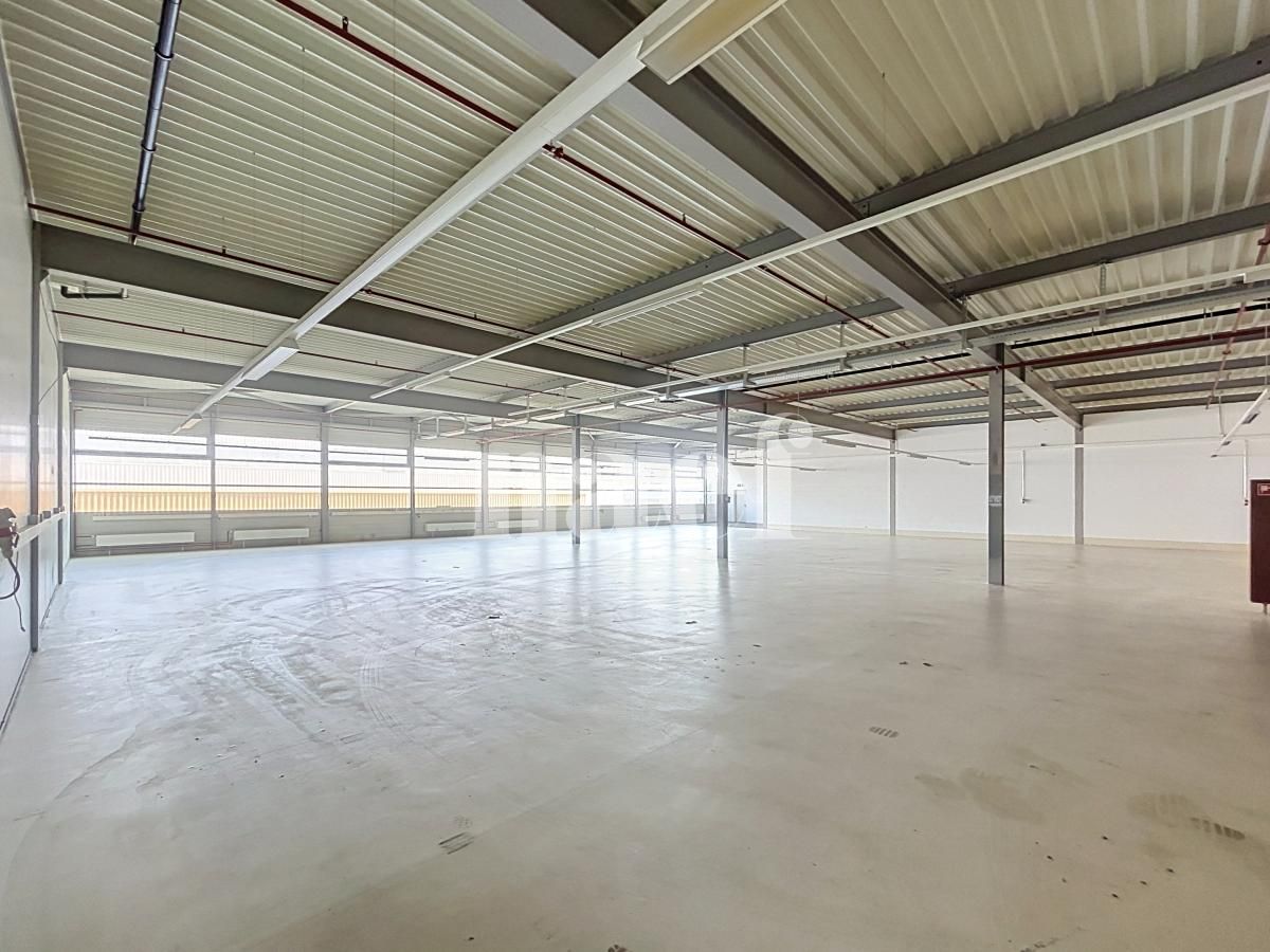 À louer : Surface Commerciale Atelier Nyon - Ref : 214161.1007 | Naef Immobilier