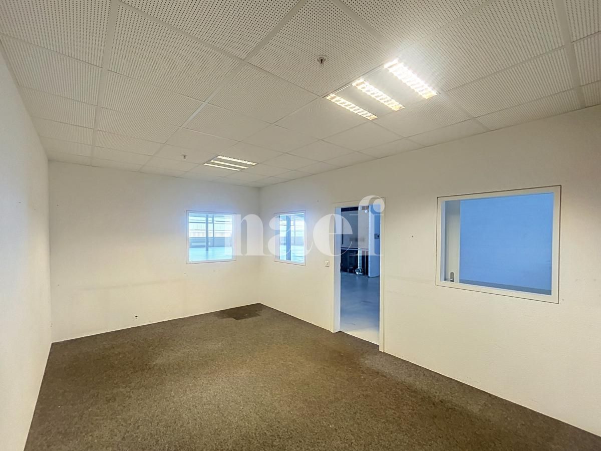 À louer : Surface Commerciale Atelier Nyon - Ref : 214161.1007 | Naef Immobilier