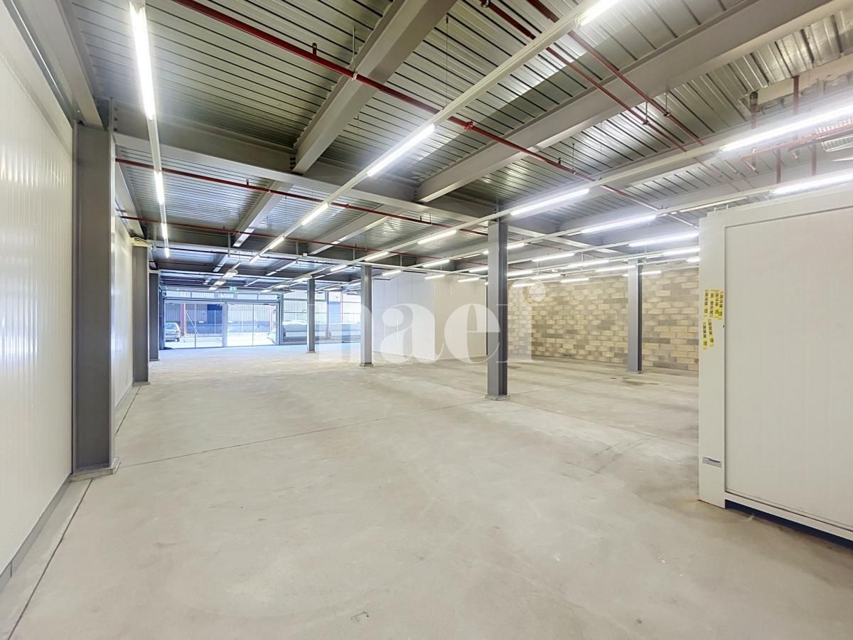 À louer : Surface Commerciale Atelier Nyon - Ref : 214161.4 | Naef Immobilier