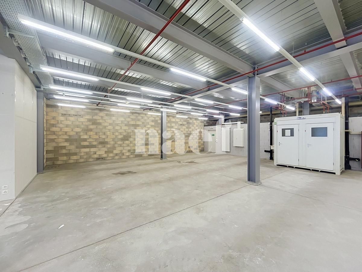 À louer : Surface Commerciale Atelier Nyon - Ref : 214161.4 | Naef Immobilier