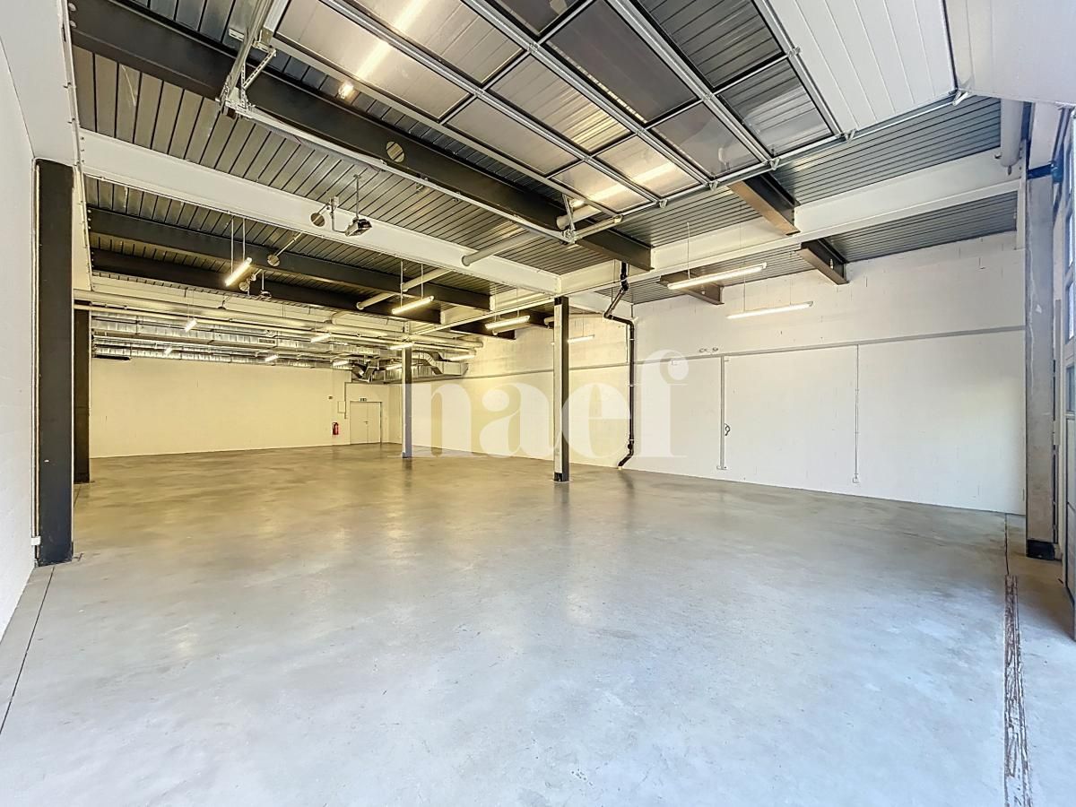 À louer : Surface Commerciale Bureau Puidoux - Ref : 214177.13 | Naef Immobilier