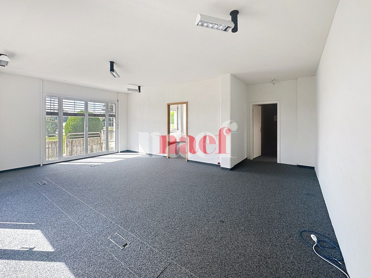 À louer : Surface Commerciale Bureau Epalinges - Ref : 214436.3 | Naef Immobilier