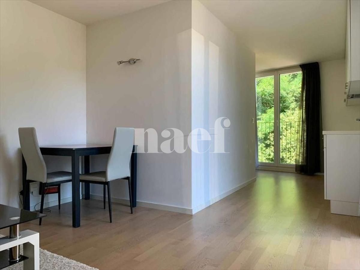 À louer : Appartement 1 Pieces Lausanne - Ref : 214521.2031 | Naef Immobilier