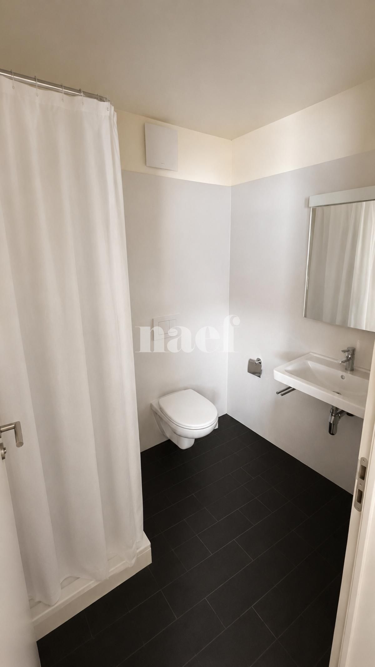 À louer : Appartement 1 Pieces Lausanne - Ref : 214521.2033 | Naef Immobilier