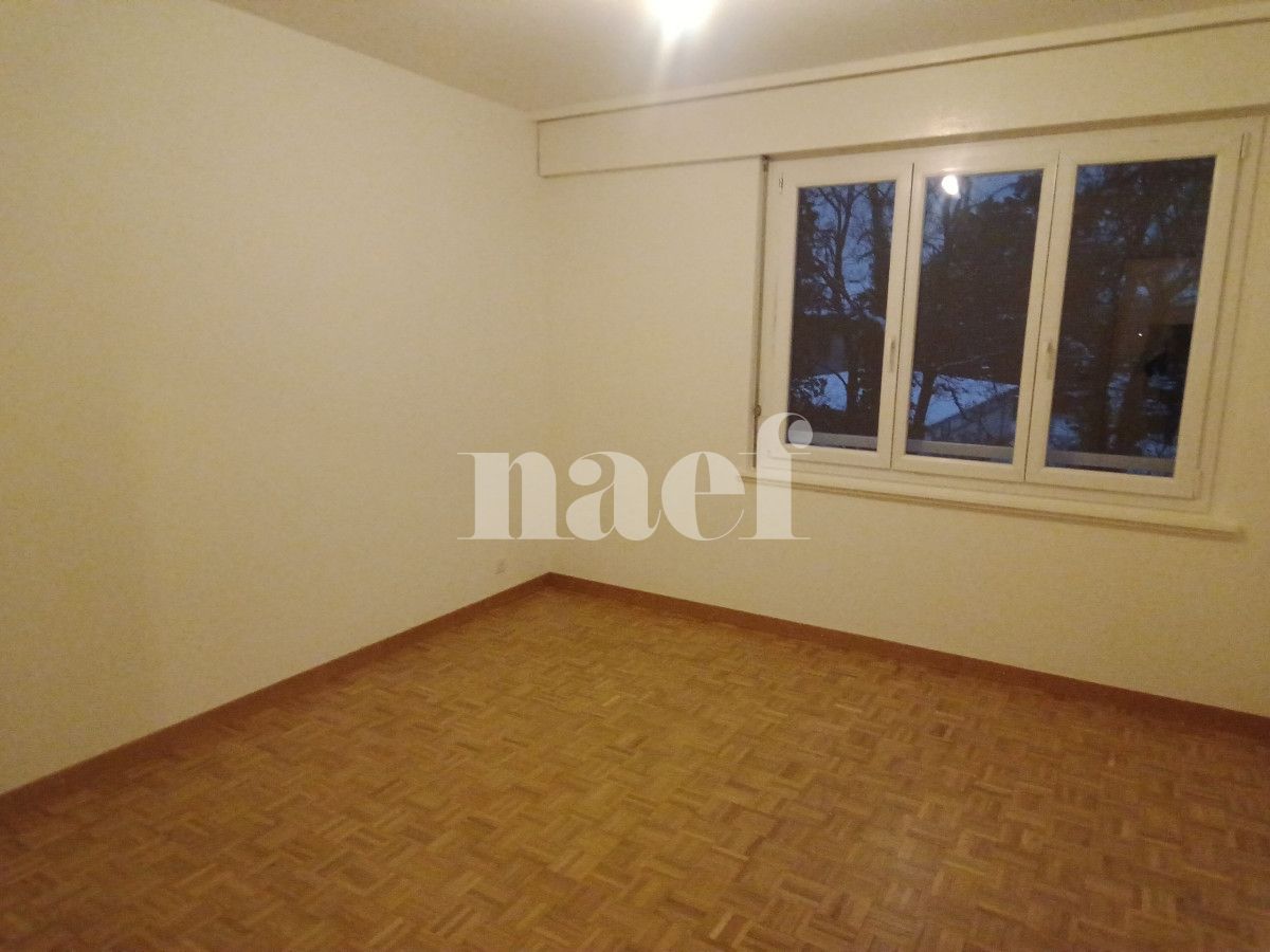 À louer : Appartement 2.5 Pieces Vernier - Ref : 214703.2022 | Naef Immobilier