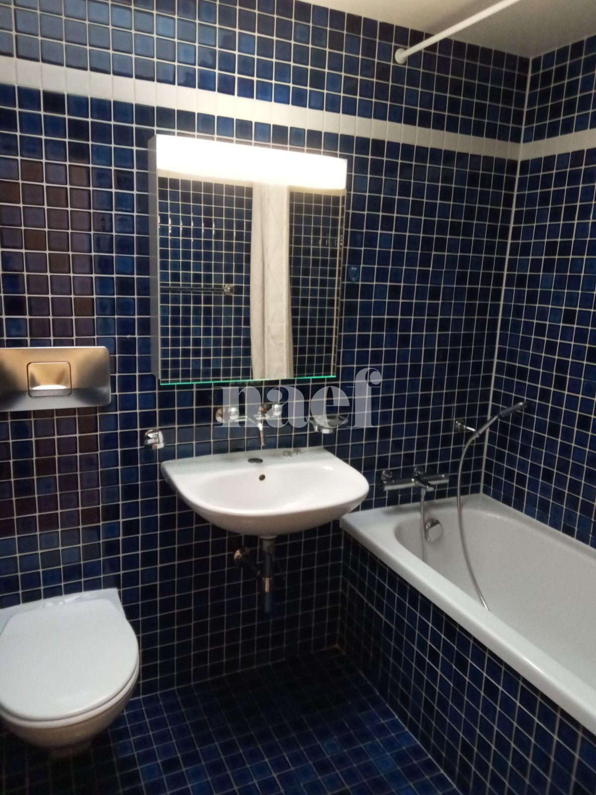 À louer : Appartement 6 Pieces Genève - Ref : 214736.7071 | Naef Immobilier