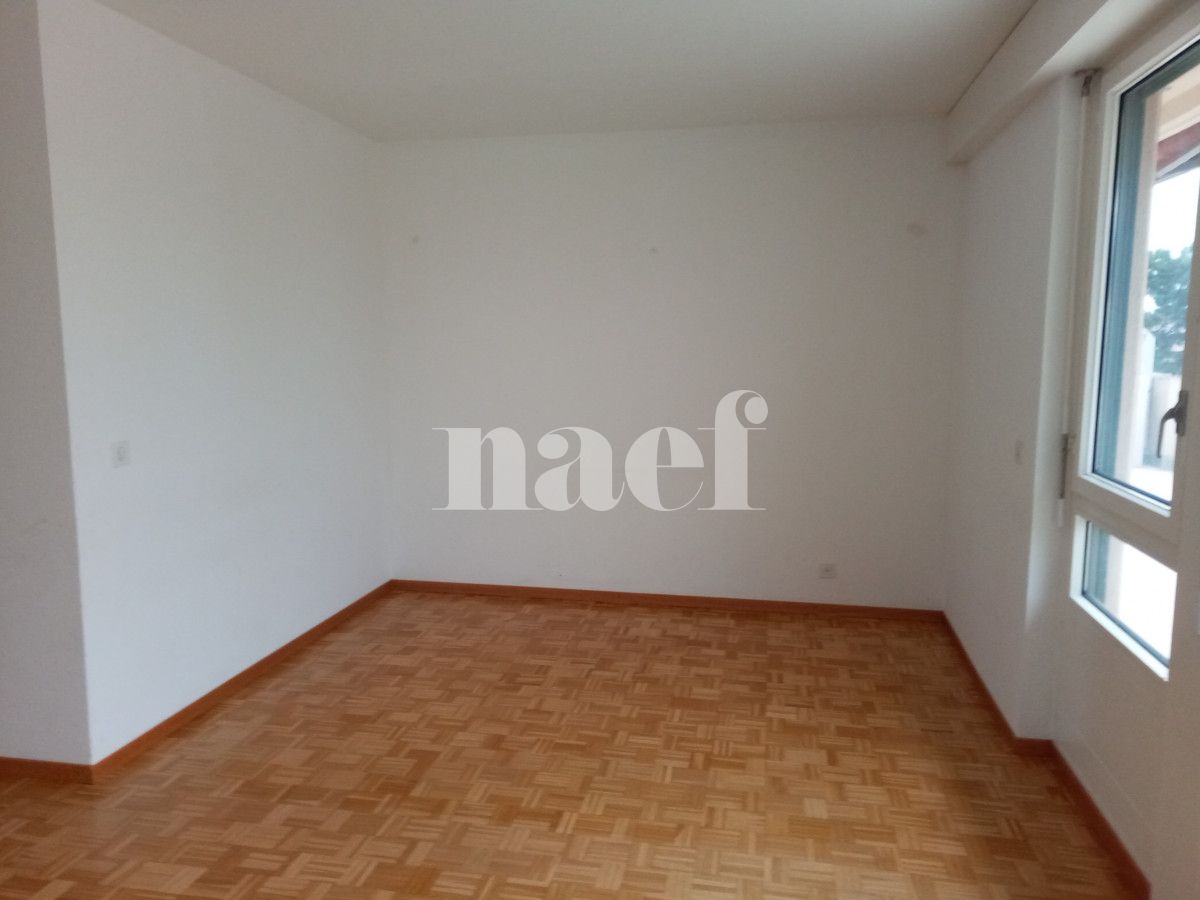 À louer : Appartement 6 Pieces Genève - Ref : 214736.7071 | Naef Immobilier