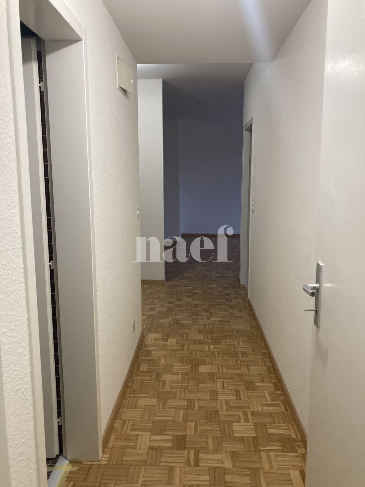 À louer : Appartement 6 Pieces Genève - Ref : 214736.7071 | Naef Immobilier