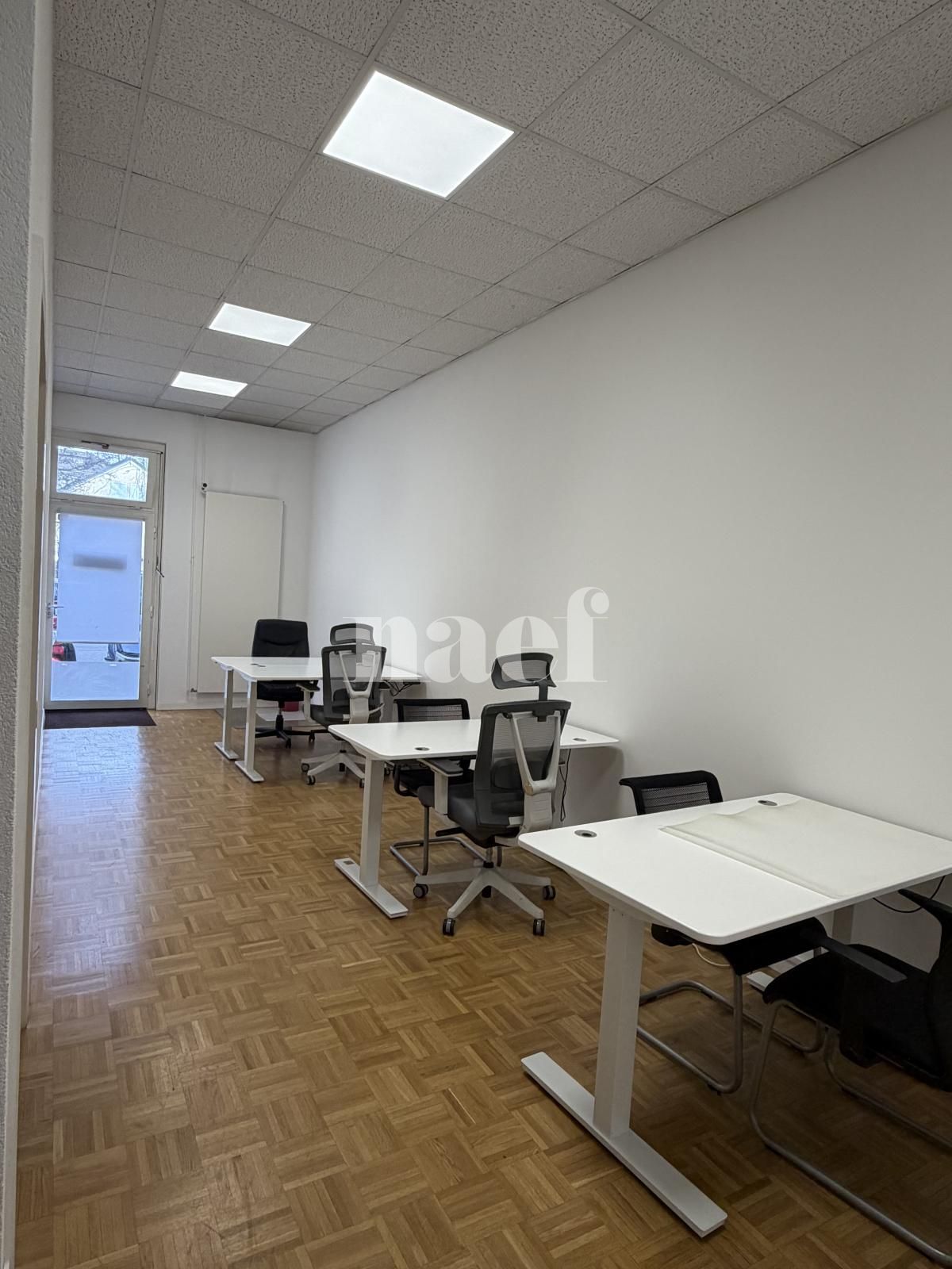 À louer : Surface Commerciale Arcade Carouge Ge - Ref : 214957.1 | Naef Immobilier