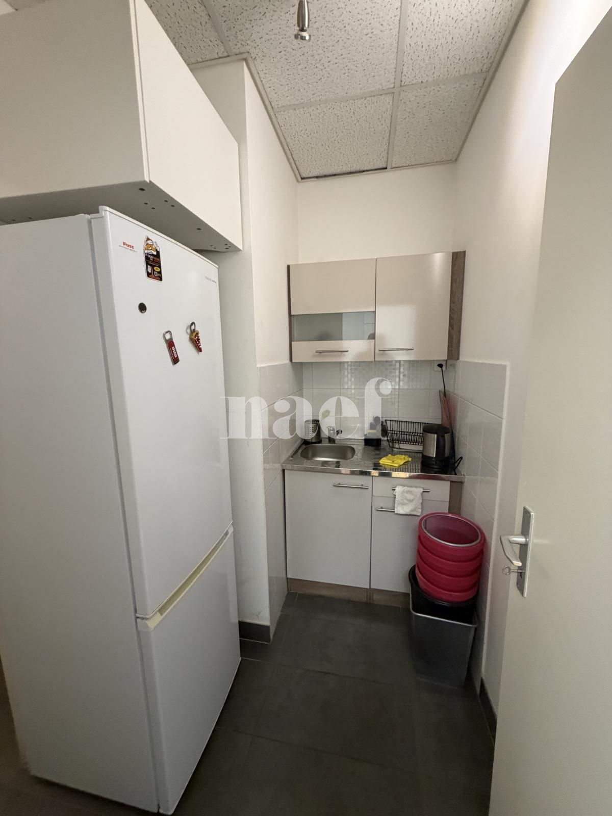 À louer : Surface Commerciale Arcade Carouge Ge - Ref : 214957.1 | Naef Immobilier