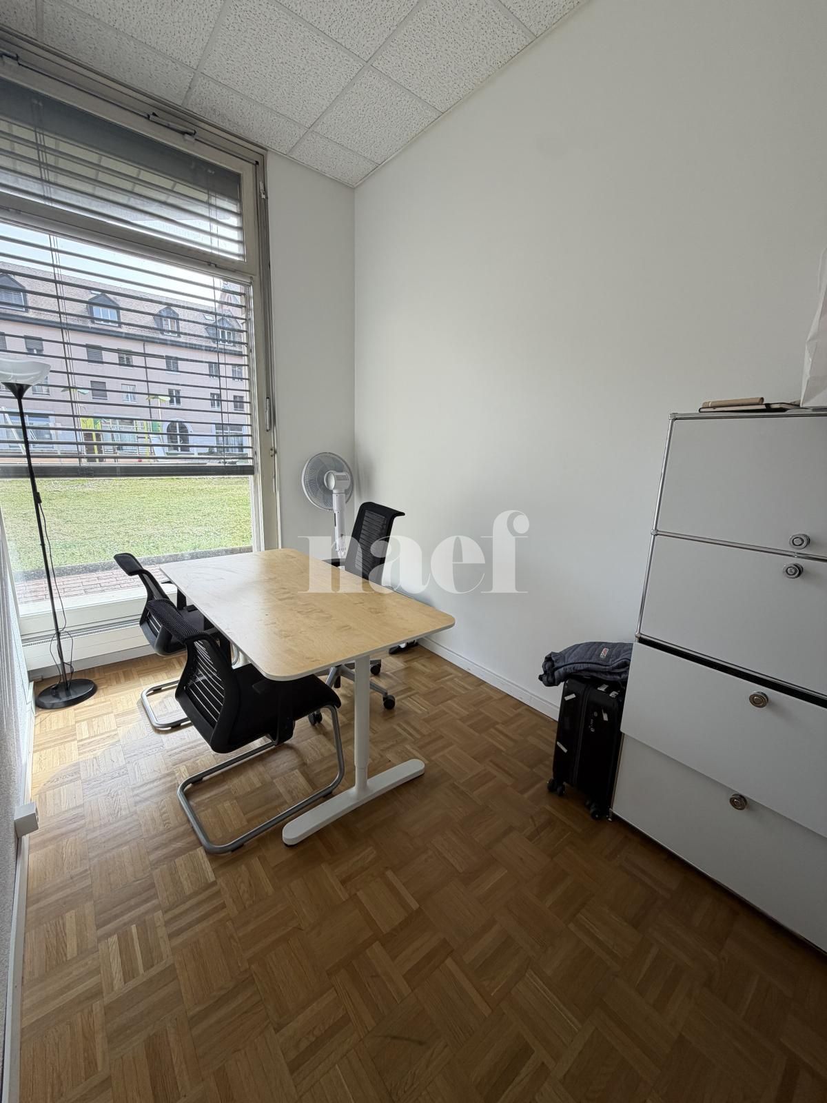 À louer : Surface Commerciale Arcade Carouge Ge - Ref : 214957.1 | Naef Immobilier